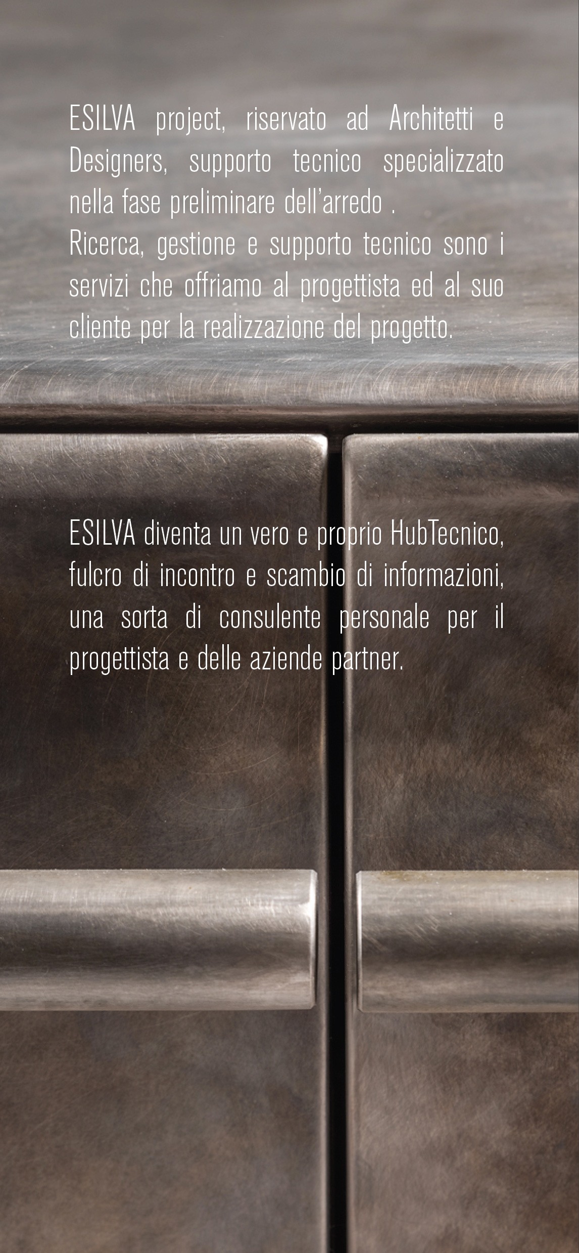 https://www.esilvaproject.it/wp-content/uploads/2019/10/info-esilva-sito-opt-1146x2480.jpg